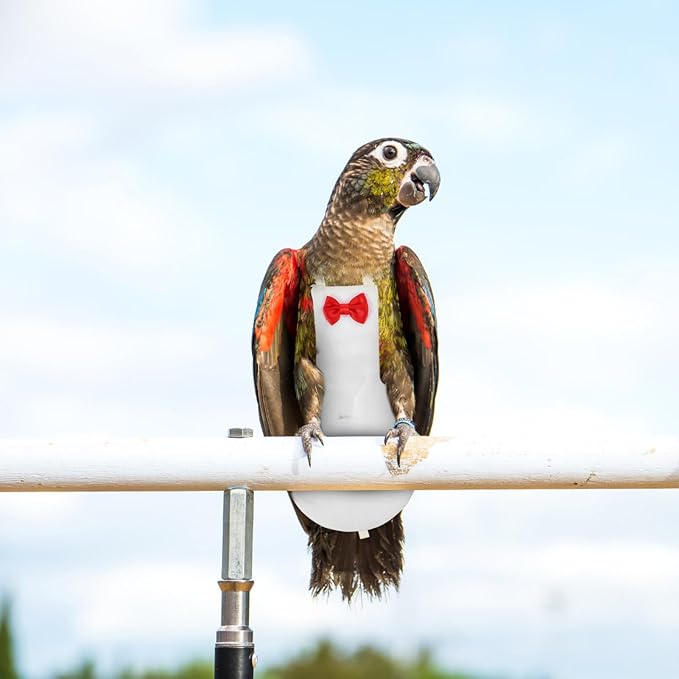 Generic Bird Diaper for Parrots Breathable Costume for Cockatiels Pigeons and Parakeets Washable Reusable Nappy Clothes for Birds
