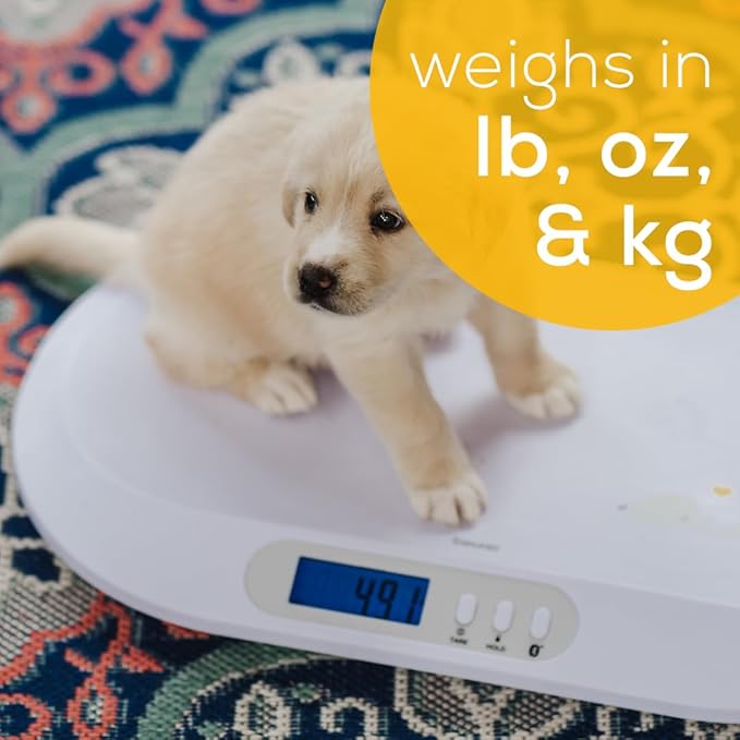 Beurer BY90 Baby Scale, Pet Scale, Digital, with Measuring Tape, tracking weight with App | For: Infant, Newborn, Toddler /Puppy, Cat - Animals | LCD Display, weighs Lbs/Kg/Oz Highly accurate