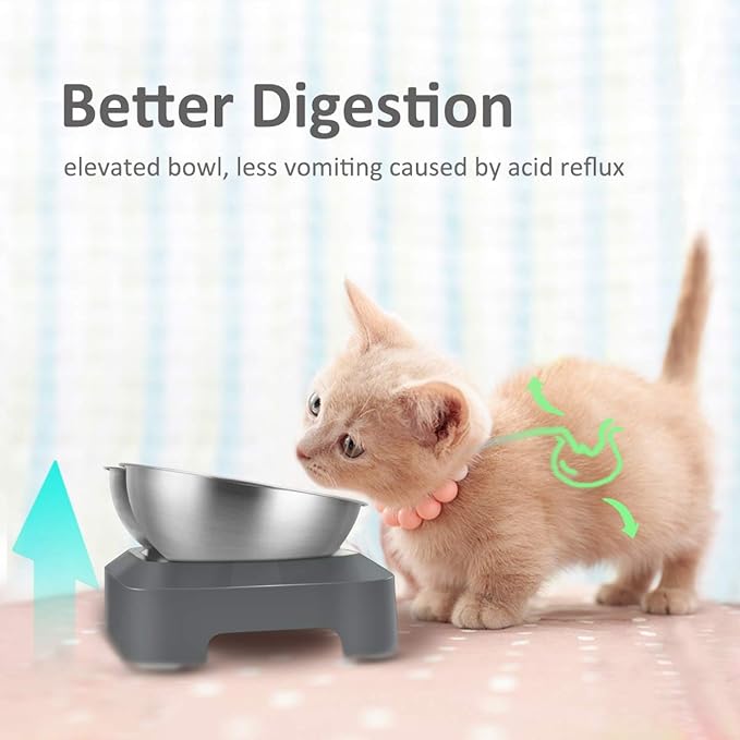 AYADA Raised Cat Food Bowl, Stainless Steel Cat Dish for Dry Wet Food Water, Anti Vomiting Elevated with Stand Ergonomic Lifted Slanted Tilted 15 Angle Metal Single Kitty Kitten Pet Bowl (Double)