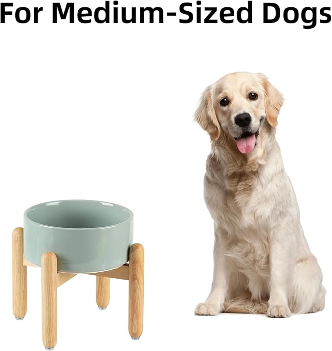 Havniva Ceramic 7.3inch Raised Dog Bowl Set, Elevated with Wooden Stand, Food and Water Bowl for Medium Breed Dogs, Weighted Dog Dishes, Pet Feeder(Light Green)