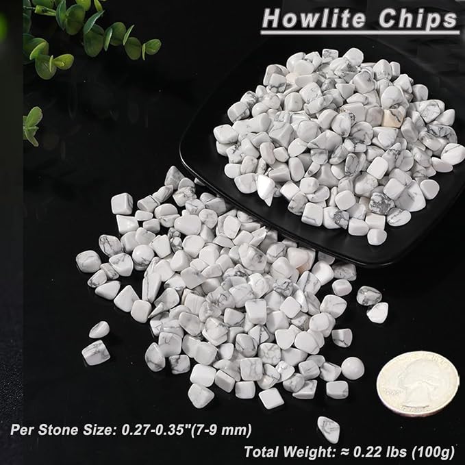 Erliway 100g Natural White Howlite Crystal Chips 7-9mm Tumbled Stones | Small Crushed Crystal Stone, Polished Crystals Chips for Fish Tank, Healing Tumbled Rocks for Reiki Jewelry Making Home Décor