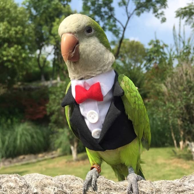 Bird Clothes Birds Flight Suit,Tuxedo Business Suit for Parrots African Greys Parakeet Cockatiel Sun Conure Christmas Party Birthday Cosplay Photo Prop Small Animals Apparel (3XL,Black Suit)