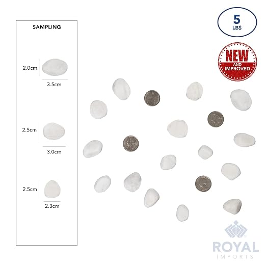 Royal Imports River Rocks, Aquarium Gravel – White 1"- 1.5" - 5 lbs | Decorative Ornamental Vase Filler Pebbles for Potted Plants, Terrariums, Vases, Succulents, Fish Tank Gravel, DIY & Crafting