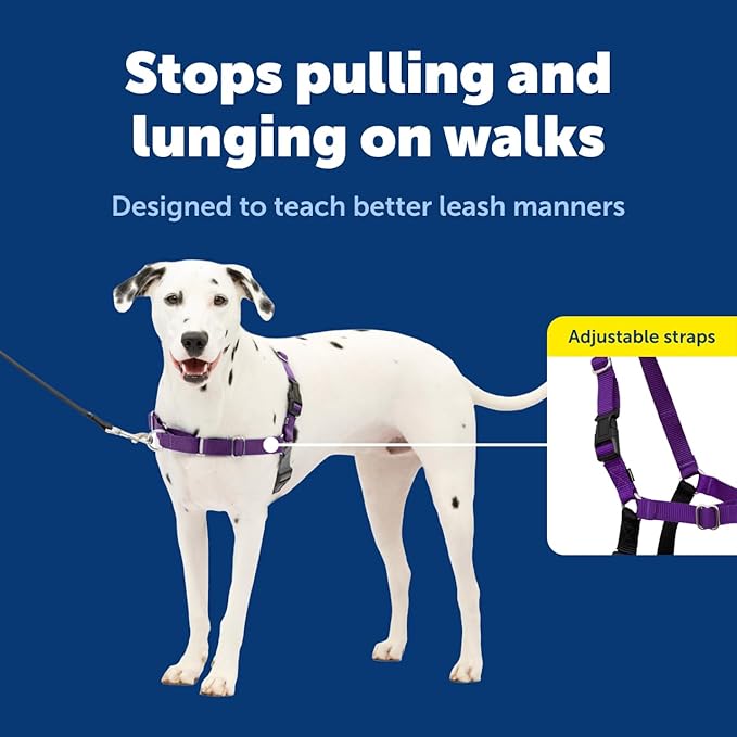 PetSafe Easy Walk No-Pull Dog Harness - The Ultimate Harness to Help Stop Pulling - Take Control & Teach Better Leash Manners - Helps Prevent Pets Pulling on Walks - Medium/Large, Black