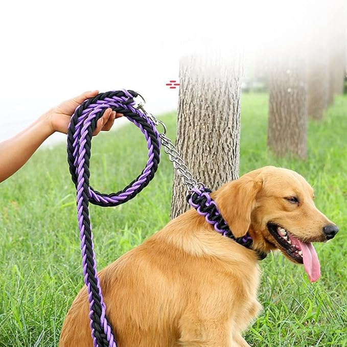Love Dream Dog Collar and Leash Set, Heavy Duty Nylon Braided Rope Strong 4 FT Dog Leash and Martingale Training Collar for Small Medium Large Dogs Training and Walking (Purple)