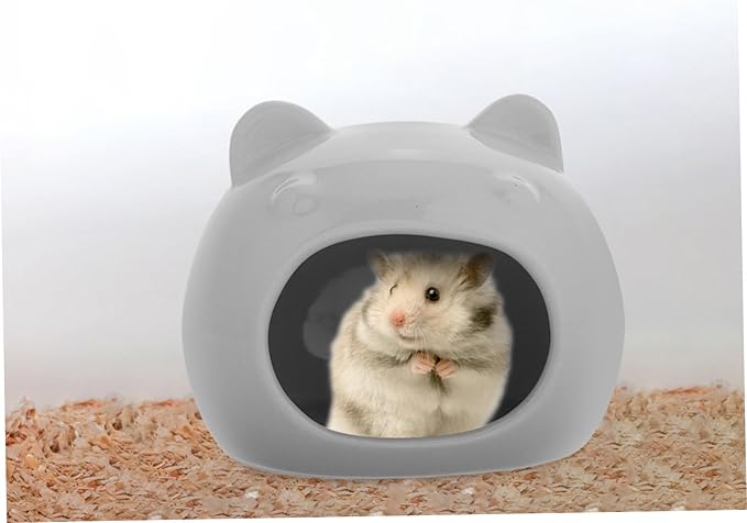Small Pet Hideout House Durable Ceramic Nest for Hamsters Gerbils Charming Design