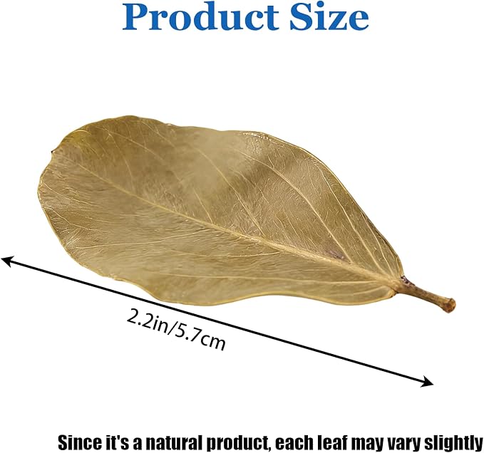 200Pcs Indian Almond Leaves Kabo Leaves Aquarium Decor Water Conditioner | Sealed Package,for Betta Fish Shrimp Goldfish Guppy,Betta Fish Tank Decor,Balance PH,Natural Tannins,Axolotl Tank Accessories