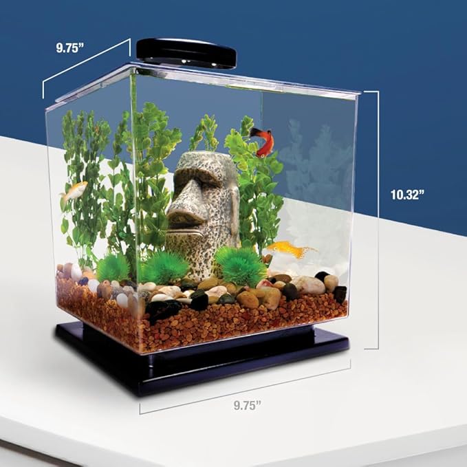 Tetra 3 Gallon Fish Tank, Aquarium Starter Kit with Pedestal Base, LED Light and Filter, For small tropical fish, guppies, goldfish, or betta