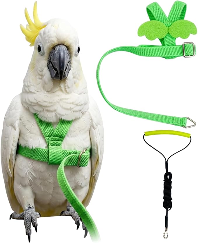Adjustable Bird Harness with Elastic Leash, Pet Parrot Harness and Leash, Adjustable Training Design Anti-Bite, Bird Nylon Rope with Cute Wing for Conure (Green,Sulphur-Crested Cockatoo)
