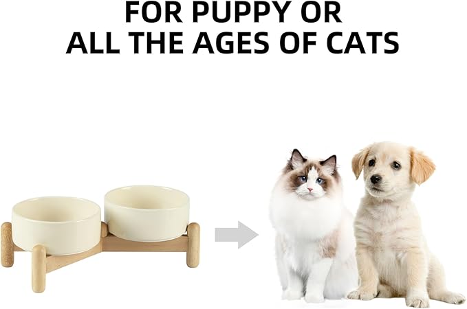 Havniva Ceramic 5.1inch Raised Double Bowls Set with Wooden Stand, Elevated Food & Water Bowls for Small Breed Dogs, Cats, Kitty, Weighted Dog Dishes, Pet Bowls(13.5oz, Light Yellow)