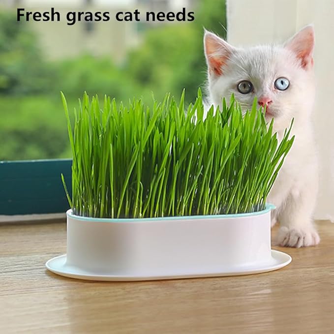 iayokocc Cat Grass Planter, Hydroponic Cat Grass Box Trays for Sprouts Growing Kits, Indoor Gardening System for Pets, Soil-Free Planter(3PCS)