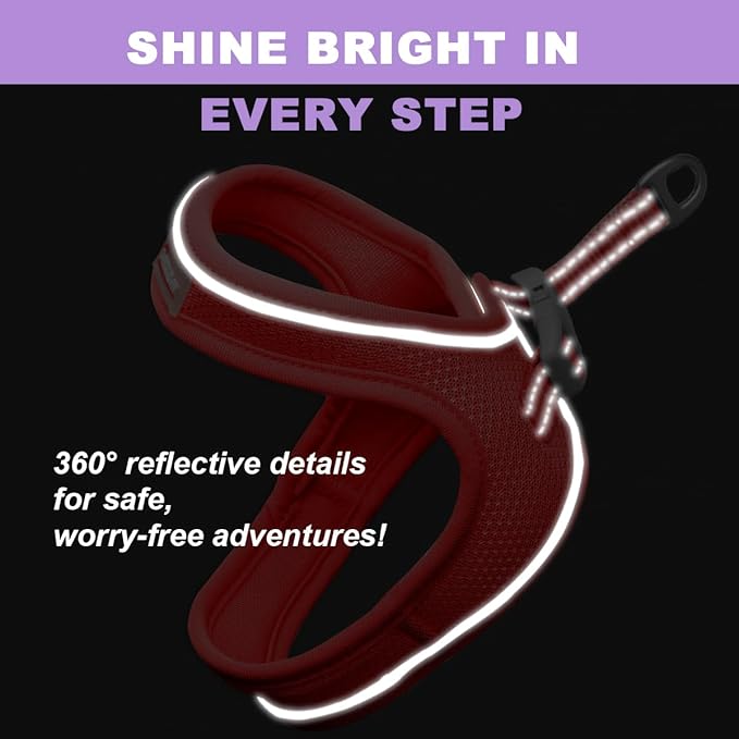 Cat Harness and Leash Set,Escape Proof Kitten Harness,Step in Adjustable Soft Lightweight,Easy Control,Reflective Strips Comfortable for Walking Travel(Red,XXXS)