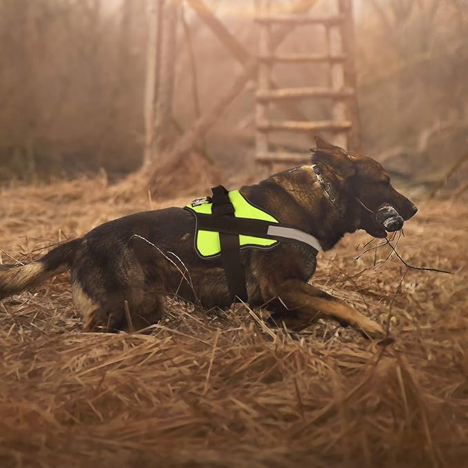 Bolux Dog Harness, No-Pull Reflective Dog Vest, Breathable Adjustable Pet Harness with Handle for Outdoor Walking - No More Pulling, Tugging or Choking (Green, S)
