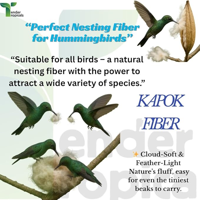 Natural Kapok Bedding for Small Birds & Pets | 2.1oz Ultra Soft Nesting Material for Finch, Canary, Parakeets, Hamsters, Sugar Gliders, Rabbits, Squirrels & Mice | Safe Plant-Based Eco Nest Fiber
