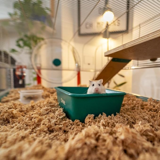 Omlet Hamster Sand Bath | Perfect Sand Bath Size for All Types of Hamsters and Gerbils | Comes with Compostable Hide to Slot in Under The Stand for Post Bath Burrowing | Green