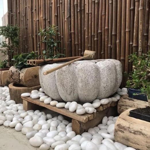40lbs White River Rocks for Landscaping, Pebbles for Indoor Plants | 2-3 Inch High Polished Outdoor Decorative Stones Vase Filler Fish Tank Aquariums Landscaping Garden Outdoor and Indoor DIY