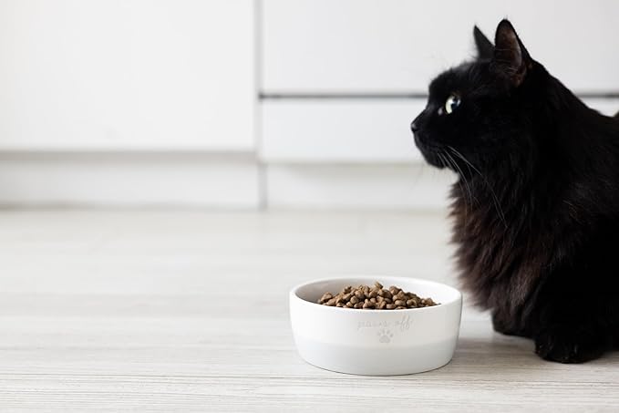 Pearhead Ceramic Paws Off Cat Bowl, Holds 12 oz, Whisker-Friendly Pet Dish for Food and Water, Heavy Non-Slip Base