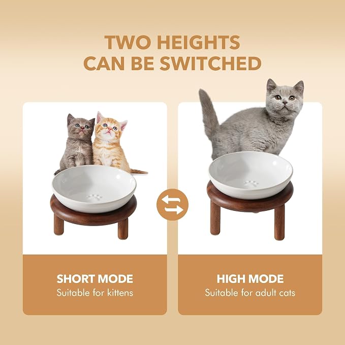 Havniva Elevated Cat Bowls Raised Ceramic Cat Bowl, 5.7” Wide Opening Cat Food Bowl Whisker Friendly Cat Dish Anti-Slip with Wood Stand, Shallow Pet Food & Water Bowl for Indoor Cats