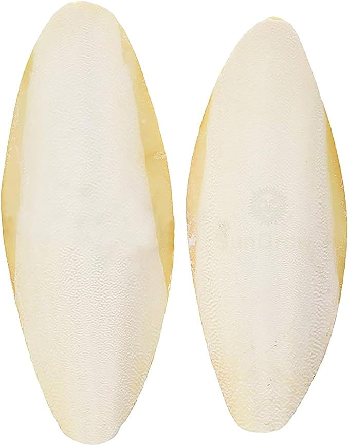SunGrow Large Cuttlefish Bones for Cockatiels, Turtles, Shrimp, Dog Calcium Supplement, Cage Holder Included, 2 Pieces per Pack