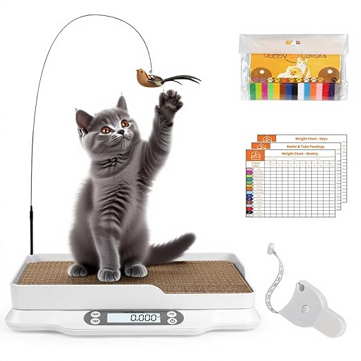 Digital Pet Scale for Animal, LED Display Cat Whelping Scale with Tape Measure, Collar, Weight Chart for Pets, Cats, Dogs, Animals, Measures Up to 66lb, 15.74 * 11.22"