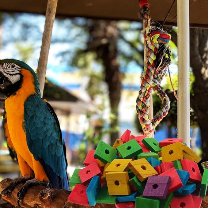 SUPVOX Parrot Toys 50 Pcs Natural Wooden Blocks for Chewing and Foraging Interactive Bird Toy Stress Relief 1.18X1.18X0.19 Inch