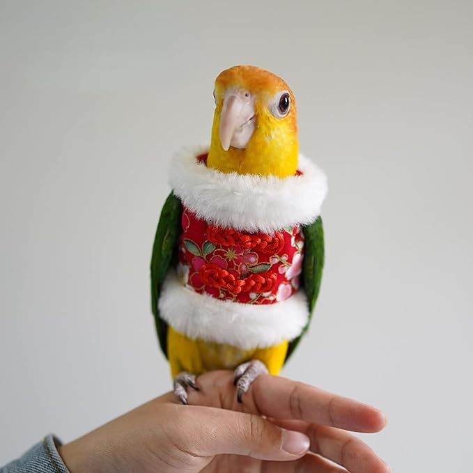 Bird Flight Suit & Clothes Cosplay Photo Prop for Parrots, Parakeet, Cockatiel & Sun Conure - Bird Hoodie for Small Animals (Red, X-Large)