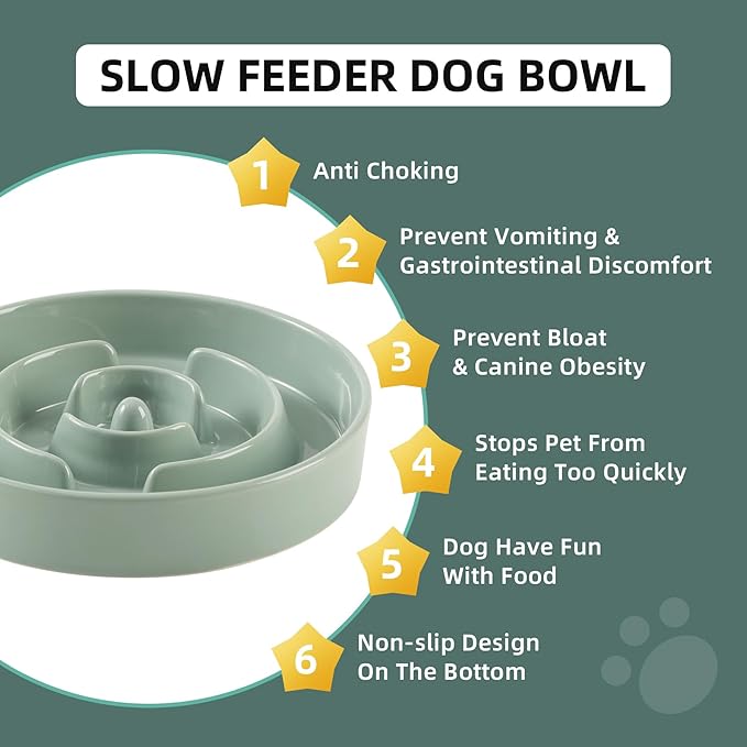 Havniva Ceramic 1.2 Cup Slow Feeder Dog Bowl for Medium and Small Breed, 7.3inch Puzzle Dog Food Dish, Anti-Gulping, Stop Bloat, Preventing Choking (Single Bowl-Light Green)