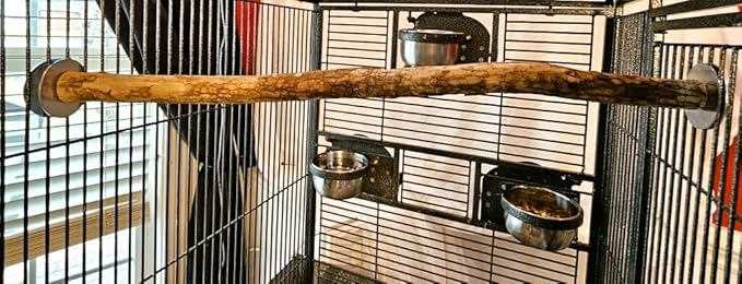 Polly's Full Length Hardwood Bird Perch, 28-Inch