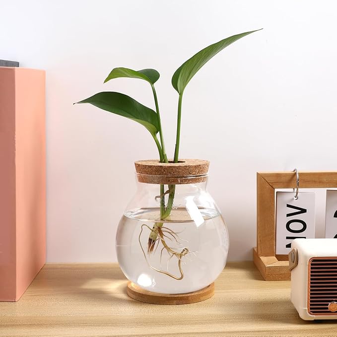Desktop Hydroponic Fish Bowl Glass Terrarium for Betta Fish with Bamboo Base Small Aquarium for Home Office Decoration