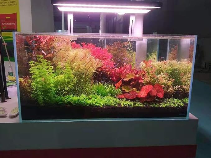Allcolor Artisan Grade Ultra Clear Rimless Aquarium Tank (34Gal) | Low Iron Glass Fish Tank for Professional Aquascaping and Planted Layouts, 6-60 Gallons (34Gal - Anti-Jumping net)