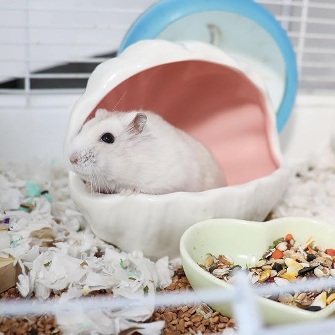 WishLotus Ceramic Hamster Hideout, Adorable Sea Shell Shaped Hamster House, Large-Opening Small Animal Hideout, Small Animal Hideout Habitat Decor for Dwarf Hamsters Gerbils (Pink)