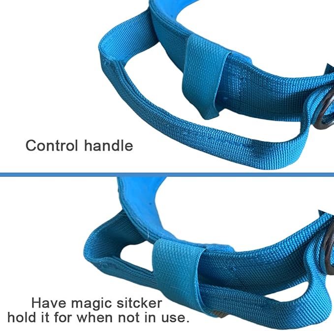 Xqpetlihai Tactical Dog Collar and Leash Set Adjustable Military Nylon Dog Collar with Control Handle and Heavy Duty Metal Buckle for Large Dogs（Blue XXL