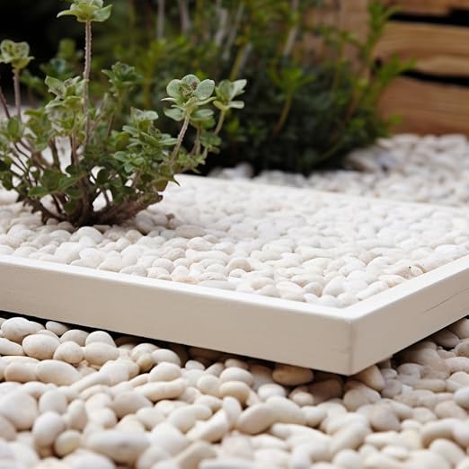 2 LBS River Rocks, StoneCreek, Decorative Garden Stones for Plant Landscaping, Polished Gravel Filler Pebbles for Home Decoration, Vases, Succulents, Flower Beds and Fish Tanks (White, Medium)
