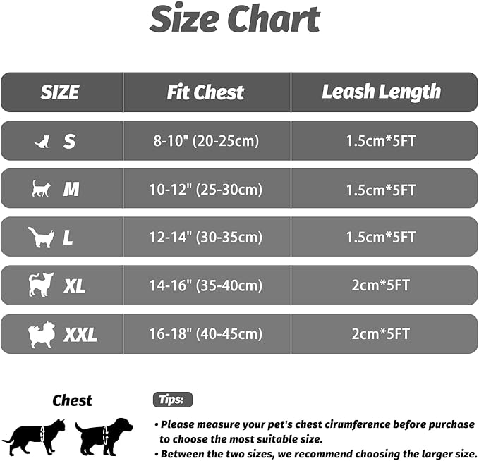 FAYOGOO Cat Harness and Leash Set | Upgrade Step-in Escape Proof Harness | Lightweight Soft Vest, No-Choke Design for Walking, Travel, Camping (Gray)