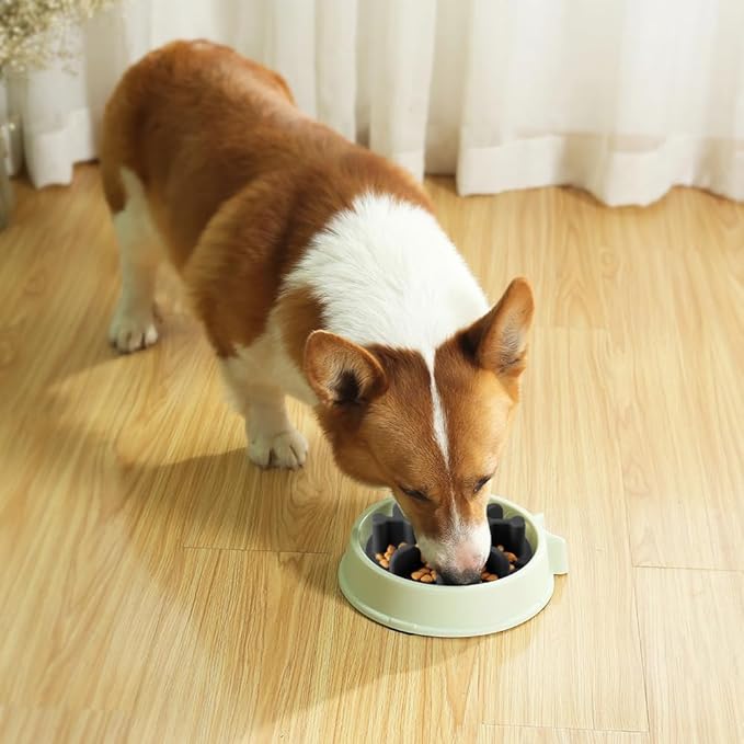 Soft Silicone Anti-Choking Puzzle Dog Bowl Insert, Anti-Slip Slow Down Eating Feeder, Compatible with Regular Elevated Dog Bowls