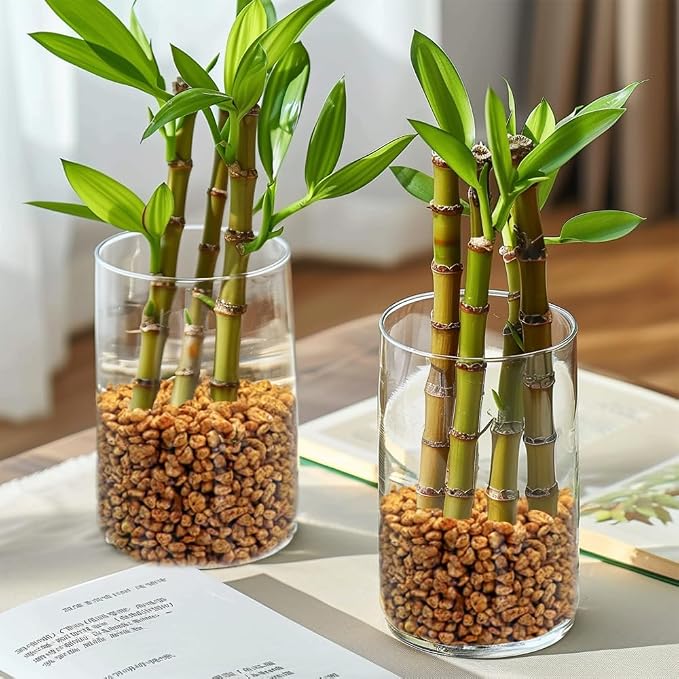 0.88 LB Brown Decorative Succulent Cactus Gravel,Terrarium Small Rocks | Indoor Plants Orchid Soil Cover Stones,Candle Holder Vase Filler Decor Pebbles,2-5mm