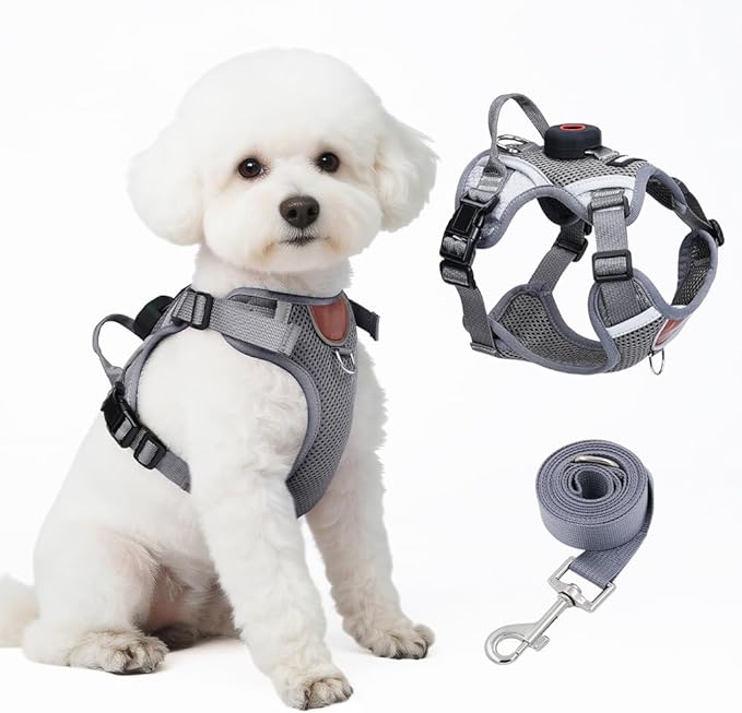 Large Cat Harness and Leash Set with Holder Compatible with AirTag, Upgraded Escape Proof Vest for Extra Large Cats Small Dogs Puppy, Mesh Outdoor Walking Jacket, Reflective Adjustable, Grey XL