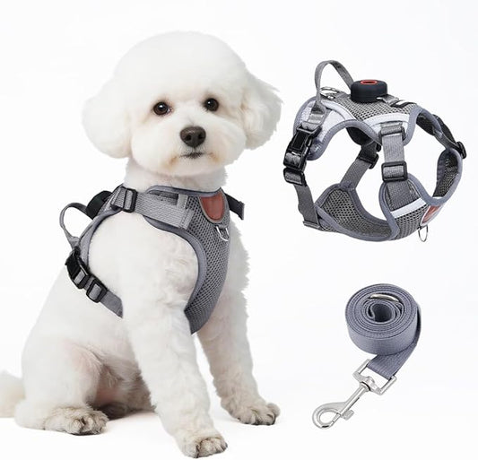 Large Cat Harness and Leash Set with Holder Compatible with AirTag, Upgraded Escape Proof Vest for Extra Large Cats Small Dogs Puppy, Mesh Outdoor Walking Jacket, Reflective Adjustable, Grey XL