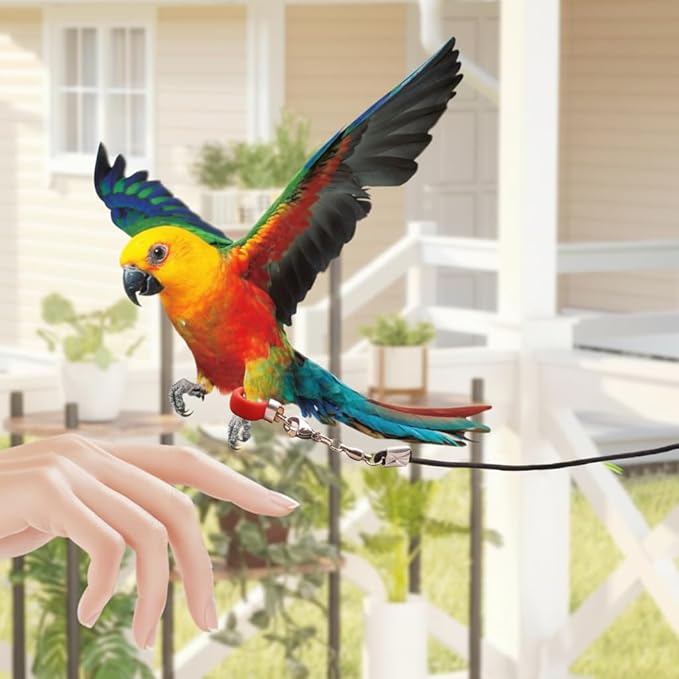 Parrot Flight Leash, Bite-Resistant Latex Elastic Leash, Adjustable Training Bird Harness for Budgies, Cockatiels, Cockatoos and Macaws. (Size 6 Silicone Anklet, 2)