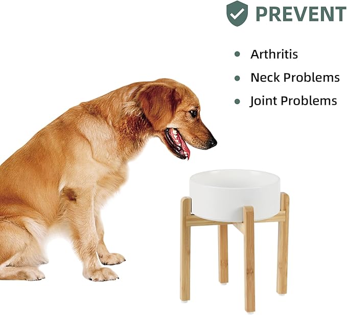 Havniva Ceramic Raised Dog Bowl Set, Elevated Dog Bowl with Stand, Food and Water Bowl for Large Breed Dogs, Weighted Pet Dishes(8.2'',60OZ, White)