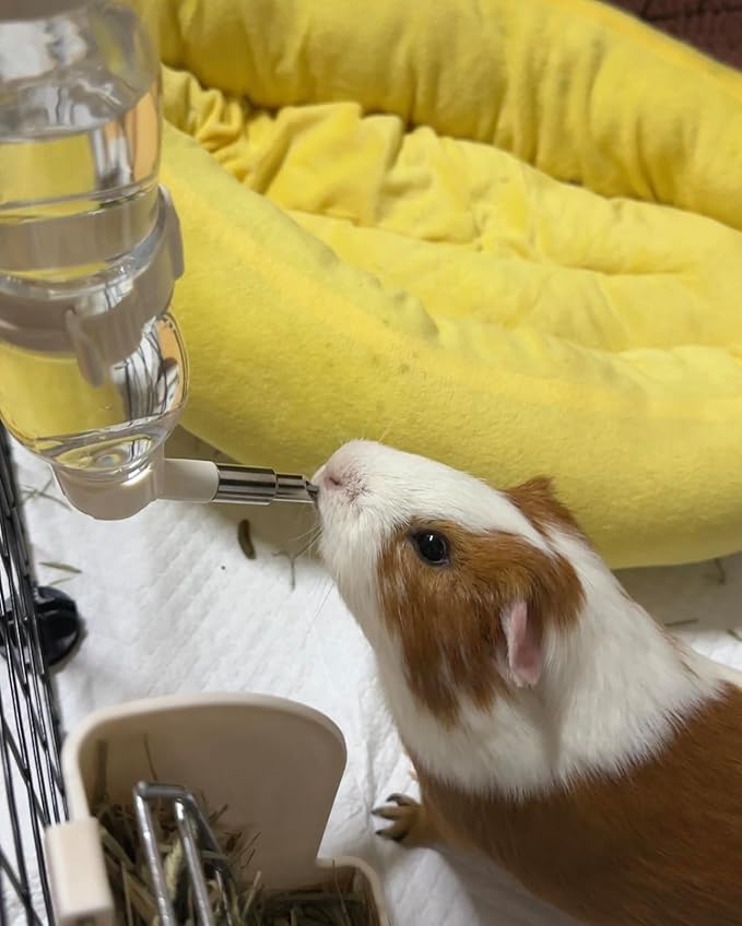 Leak-Proof Small Animal Water Bottle for Chinchillas, Guinea Pigs & Rabbits, Bird & Parrot Water Dispenser (Green, 8.12oz)