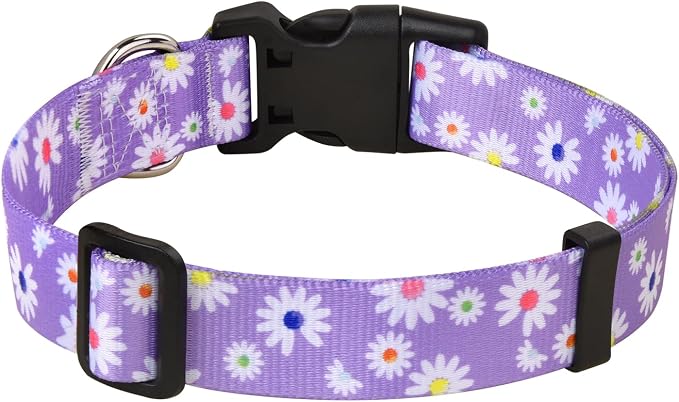 MarukoPet Dog Collar, Adjustable for Small Medium Large Dogs Puppy, Cute Design with Bohemia Floral Tribal Geometric Patterns Boys Girls Dog Collar(Purple Daisy-M)