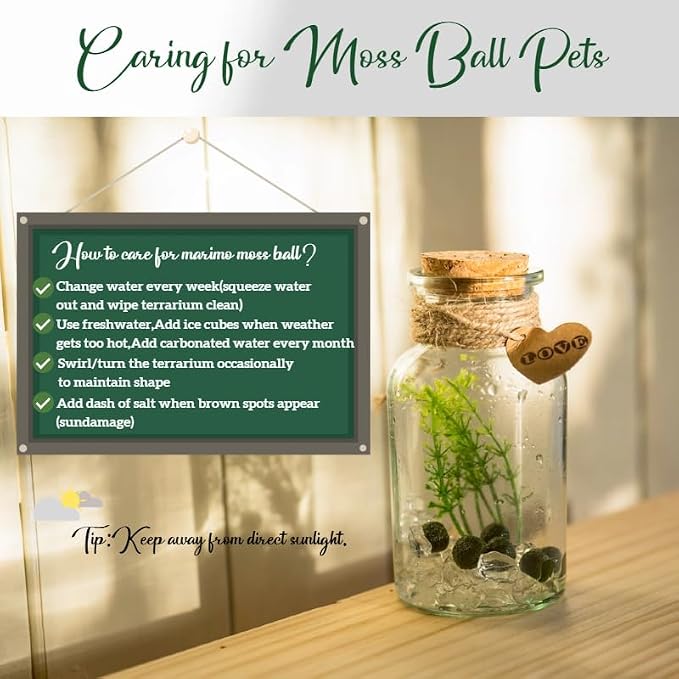 Moss Balls Glass Terrarium Kit - 7 Pcs Glass Terrarium Decor with White Crystal, DIY Aquarium and Home Decor for Desk and Room Styling