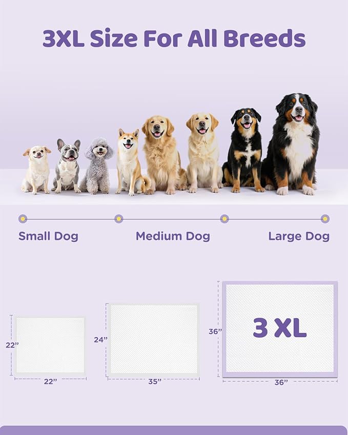 iweepet 36"x36" 4XL Lavender Scented Disposable Dog Pee Pads, 30 Count | Extra Large Puppy Training Pads with 6-Layer Super Absorbent Protection, Leakproof Puppy Pads for Large Dogs & Senior Pets