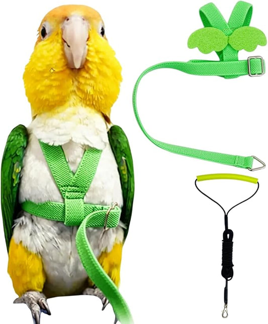 Adjustable Bird Harness with Elastic Leash, Pet Parrot Harness and Leash, Adjustable Training Design Anti-Bite, Bird Nylon Rope with Cute Wing for Conure (Green,XL)
