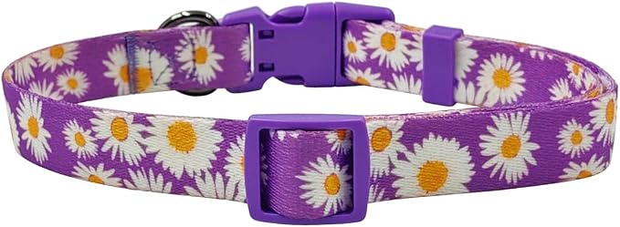 Dog Collar and Leash Set, Cute Daisy Pattern, Polyester Material, 5ft Leash, for Small Dogs.(Small,Purple Daisy)