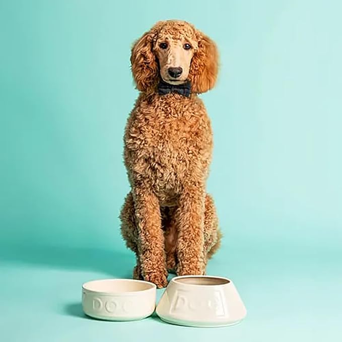 Mason Cash: Non-Tip Dog Bowl - Cream - 8.3", 54oz - Durable Ceramic Food & Water Angled Dish, Microwave-Dishwasher Safe, Pet Meal Feeding & Hydration