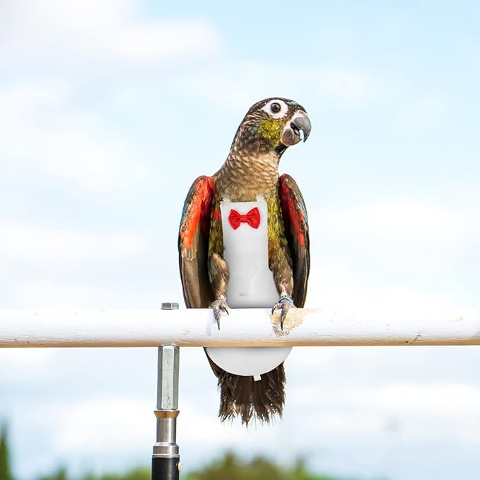 Generic Bird Diaper for Parrots Reusable and Washable Flight Suit for Outdoor Use Breathable Bird Clothes for Cockatiels and Parakeets