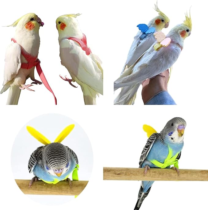 Birds Adjustable Harness and Leash, Parrot Outdoor Flying Training Traction Rope Straps with Cute Wing for Small Animal, Parrots, Pigeons, Bird Flight Vest, Pet Training Leash(Pink,S)
