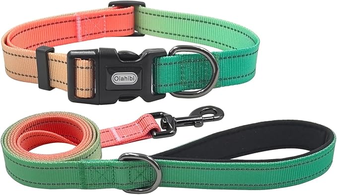 Dog Collar Leash Set, Gradient Color, with Safety Reflective Strips, 5 ft Matching Leash, Neoprene Padded Handle, Adjustable 4 Sizes for Small Medium Large Dogs.(XS, Green Orange)